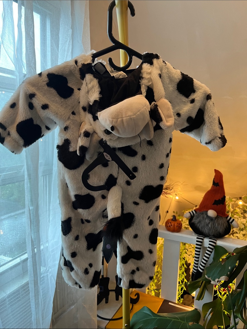 Cow - Picture 4 of 5